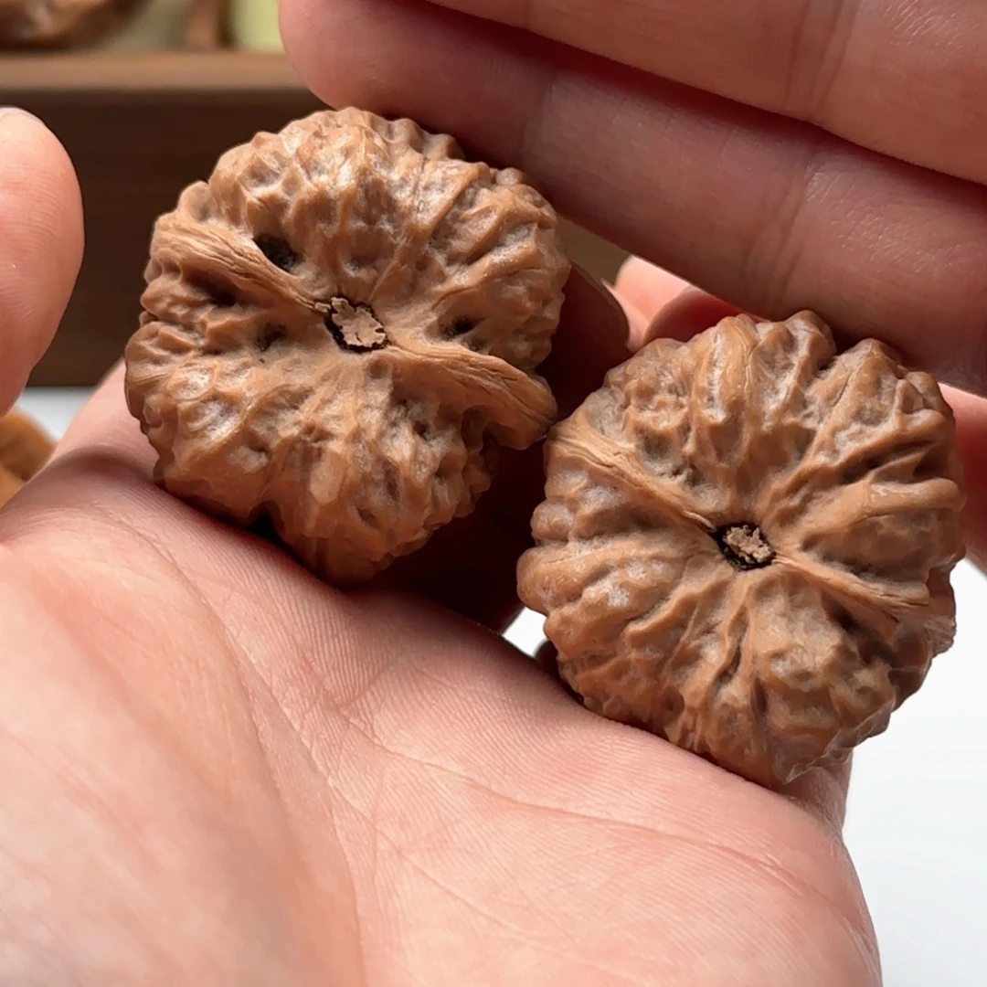 核桃把件延庆蛤蟆