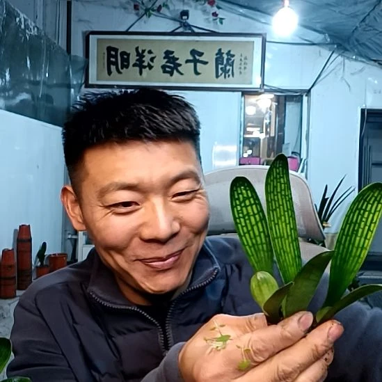 @不会飙车20福利3颗