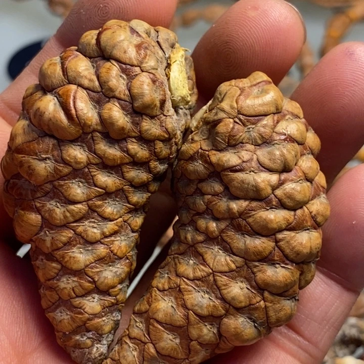****香榧木拿姐工艺流程230