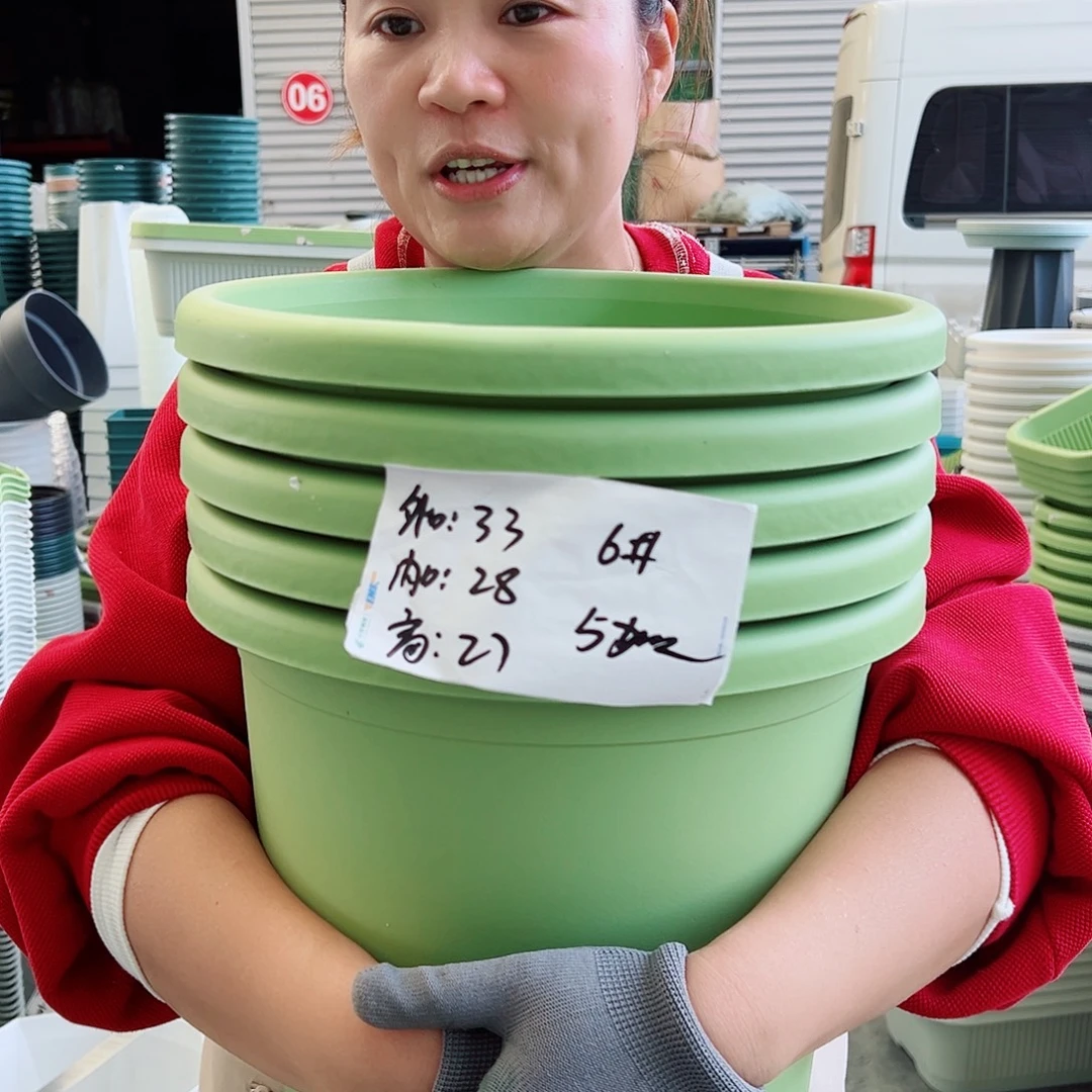 四季盆6#果绿色5个无托