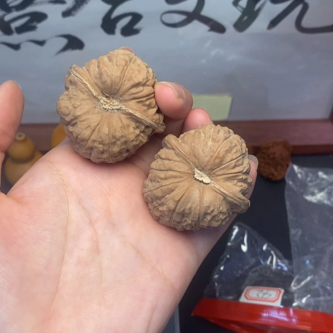 吊坠龙脊菩提42龟背南瓜