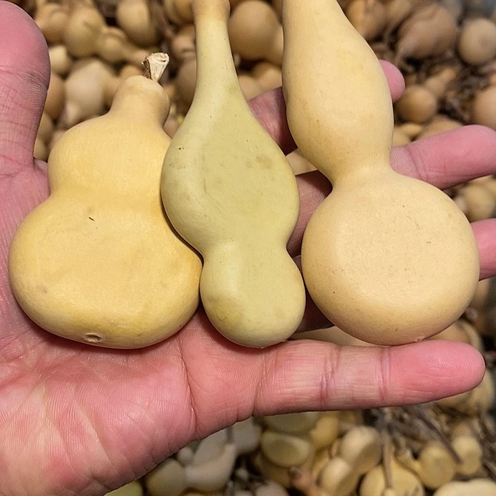 冰精品葫芦手把葫芦54