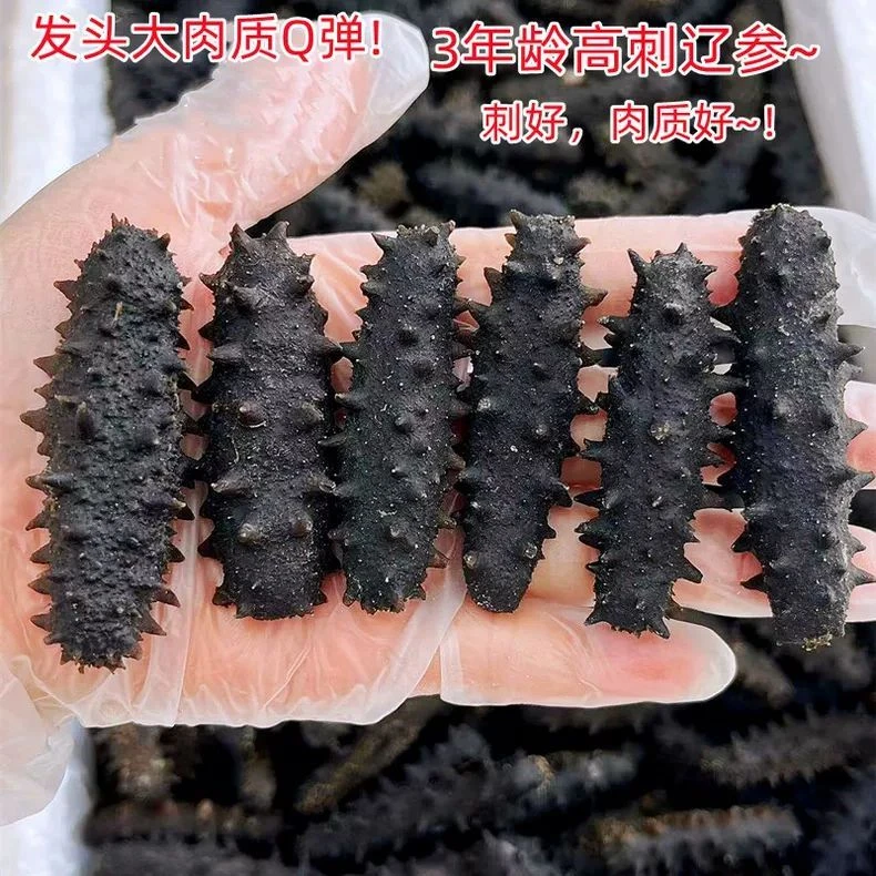 开肚辽参海参 深海高刺参煲汤煲粥佛跳墙海鲜泡发个大海产干货