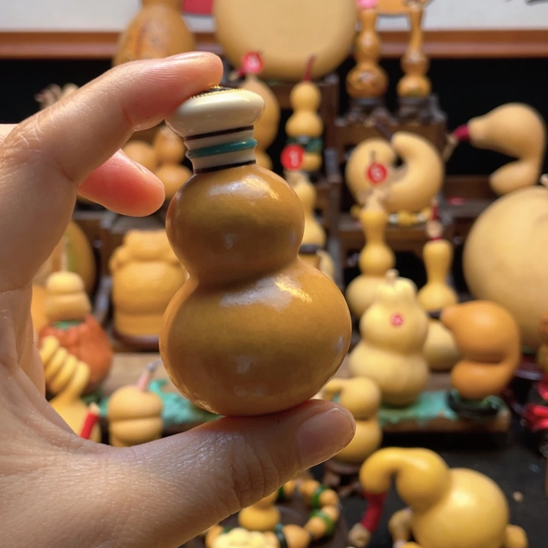 鲨**鱼大自然的秘密第十一节的