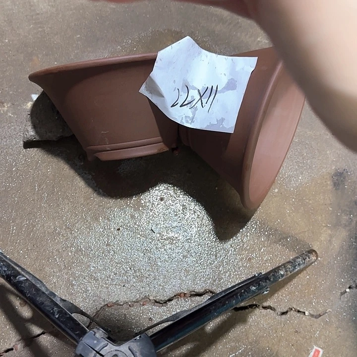 紫砂花盆破损包赔