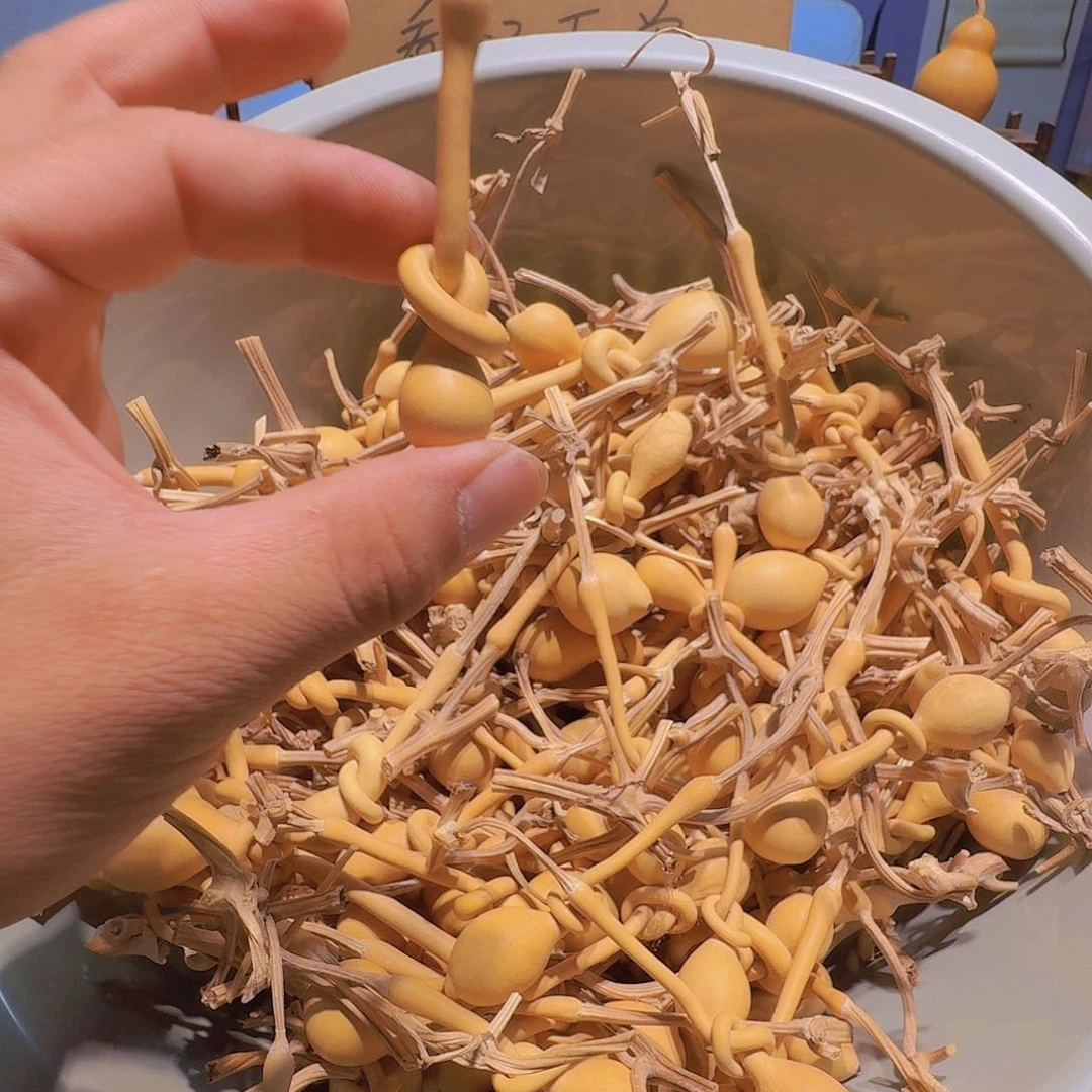 m***阳葫芦科动物是以小昆虫或其它为