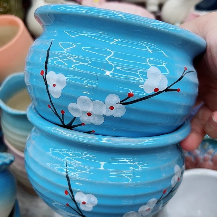 多肉植物陶瓷花盆9.99包邮