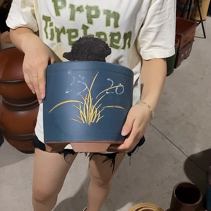 紫砂花盆紫砂花盆