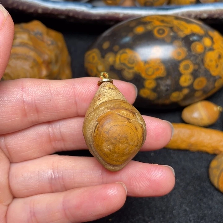 石材九眼页岩钱币石原石12