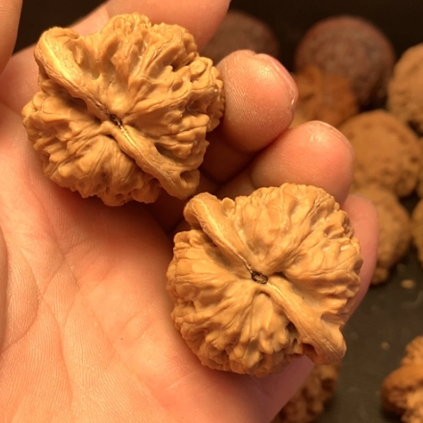 【闪购商品】大****景将军磅