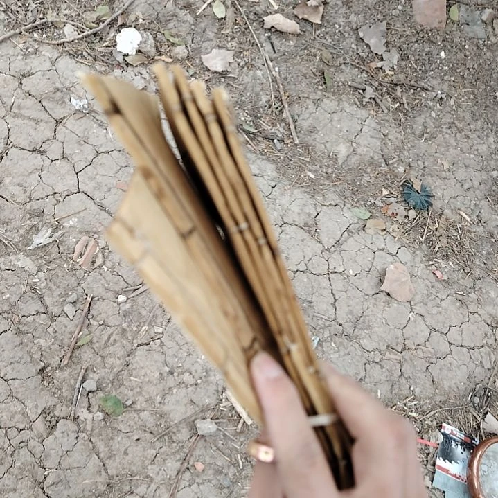 瓷器活动了吗？？？吴*