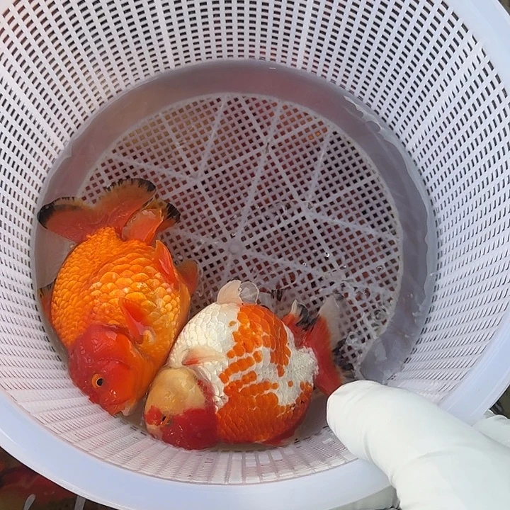 319包邮到家嘿嘿嘿嘿嘿嘿嘿嘿