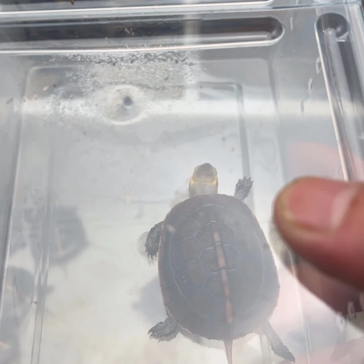 赚****啦咯咯咯咯咯咯哦