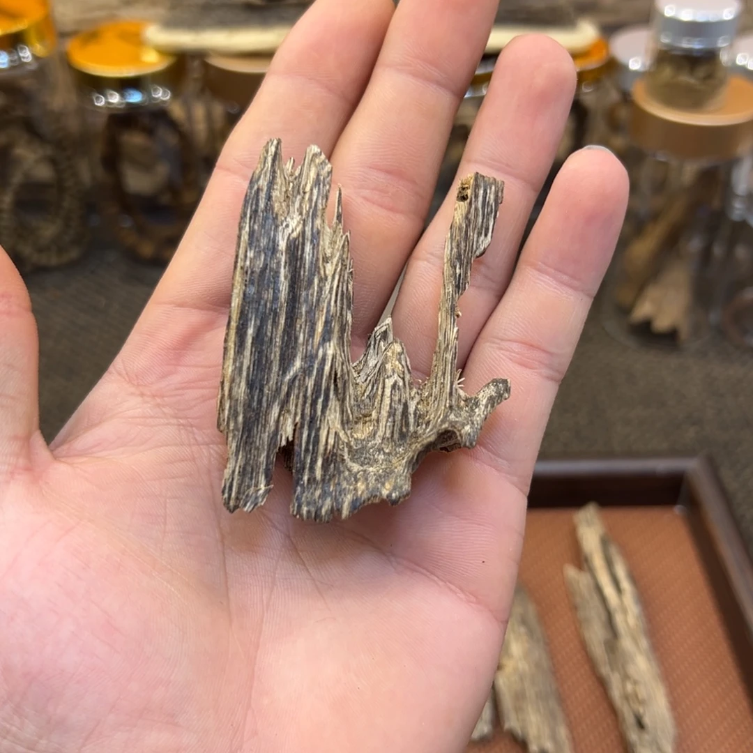 越南芽庄吊口油8.7g