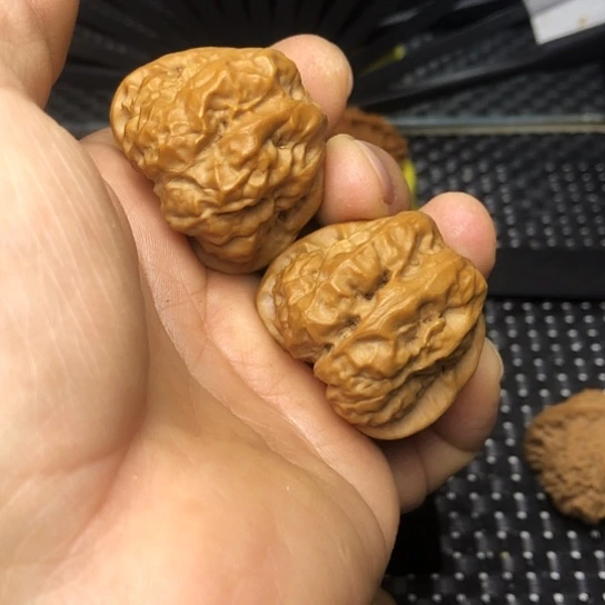 米***泳吊坠文玩核桃疙瘩蛙