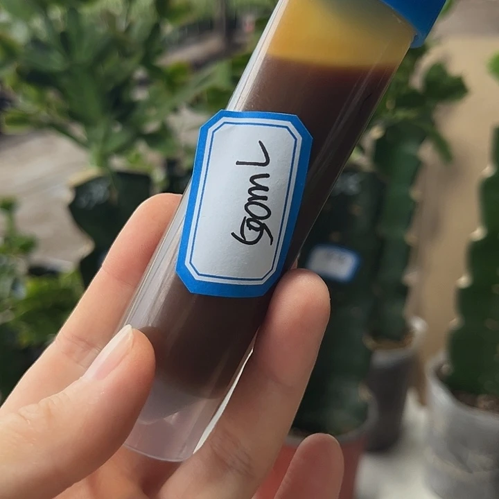 永**乐鱼蛋白500毫升