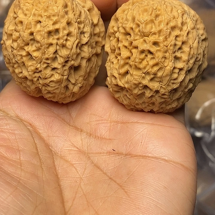 文玩核桃把件云南铁核桃14