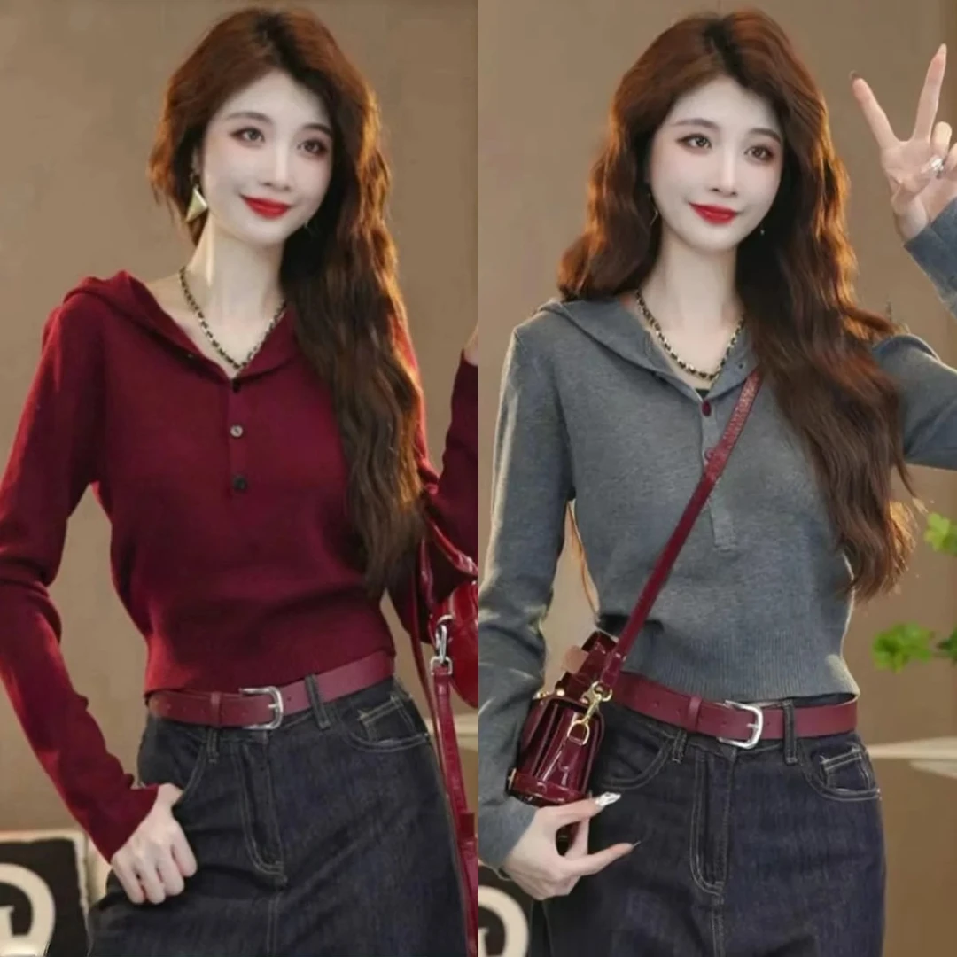 欧货设计感小众简约连帽毛衣女秋季2025新款百搭时尚洋气针织上衣