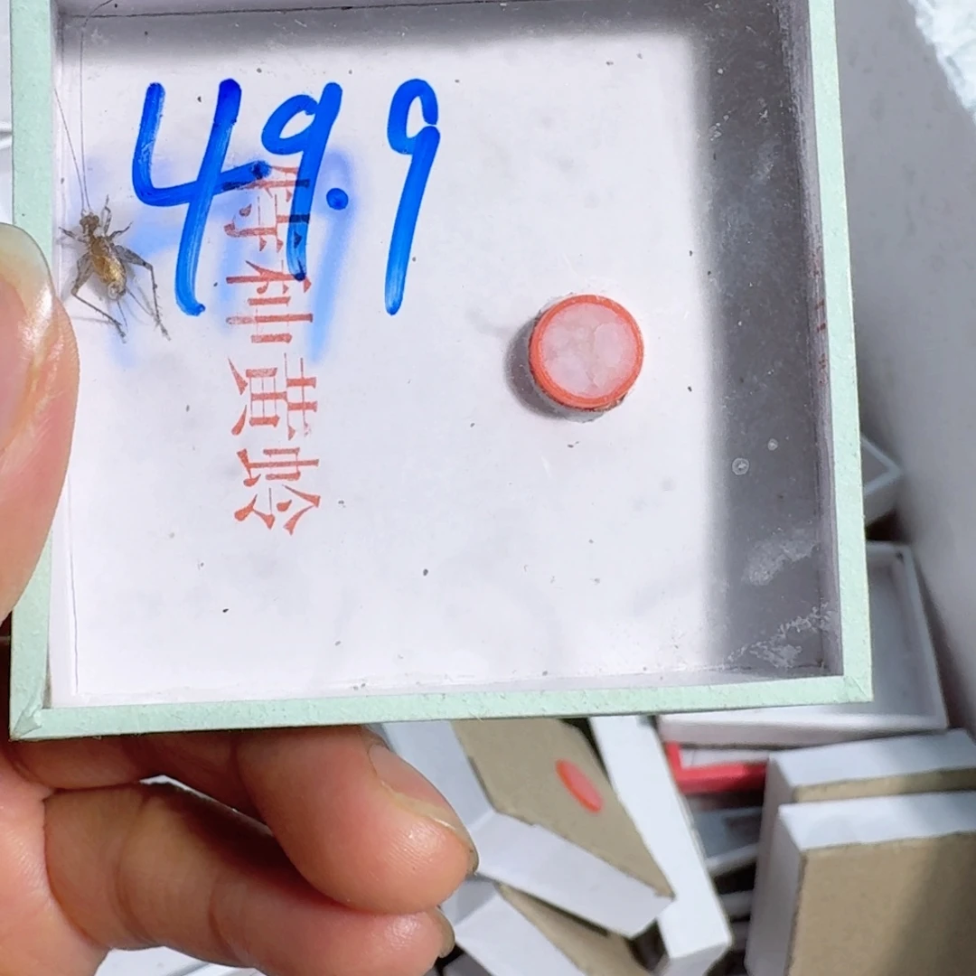 猎***人蟋蟀蝈蝈你的电话怎么一直关机呢你