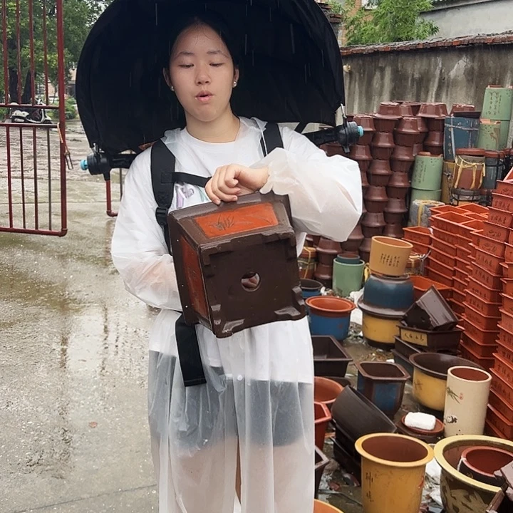 25红四方花盆花盆花盆