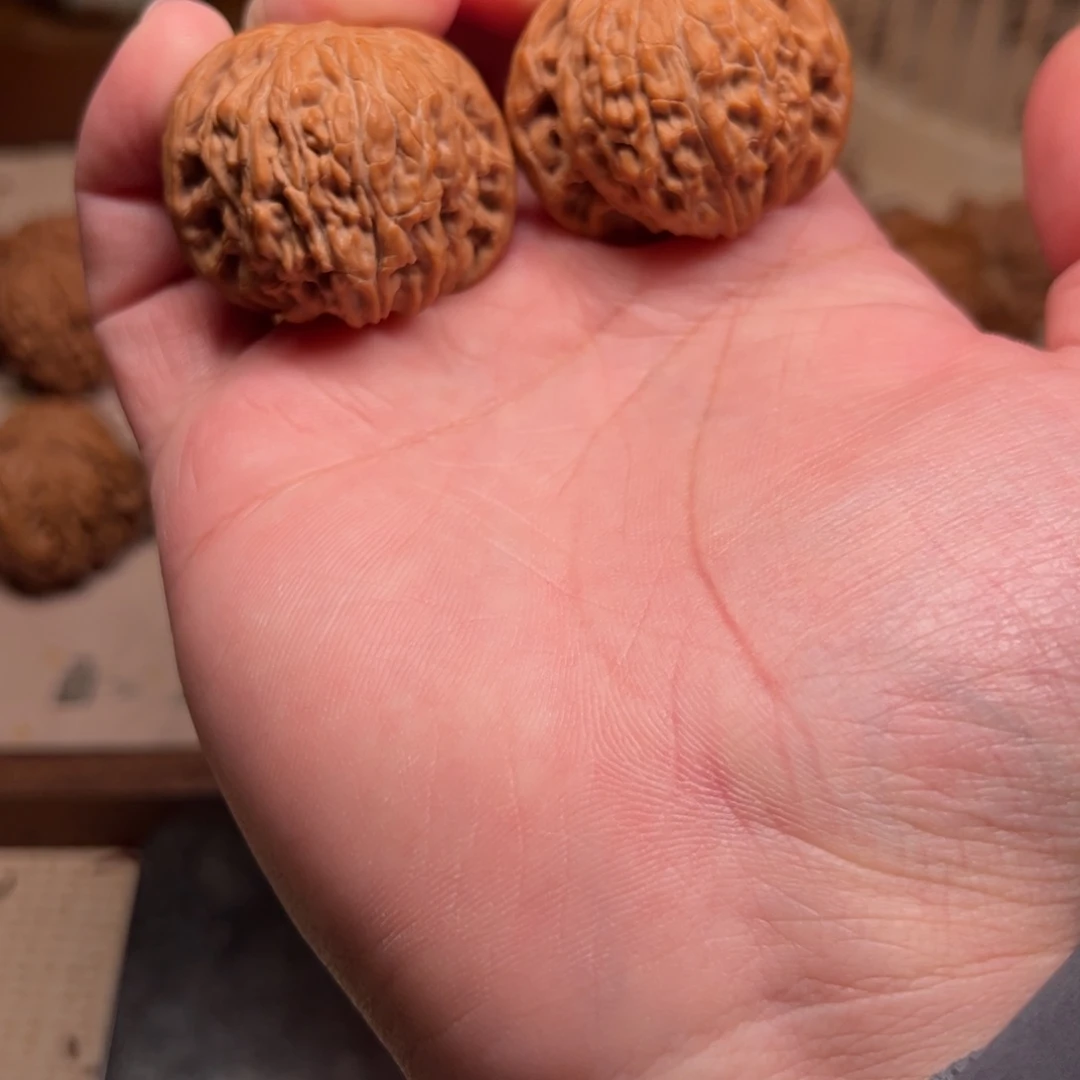 十*全品无修山地正磨