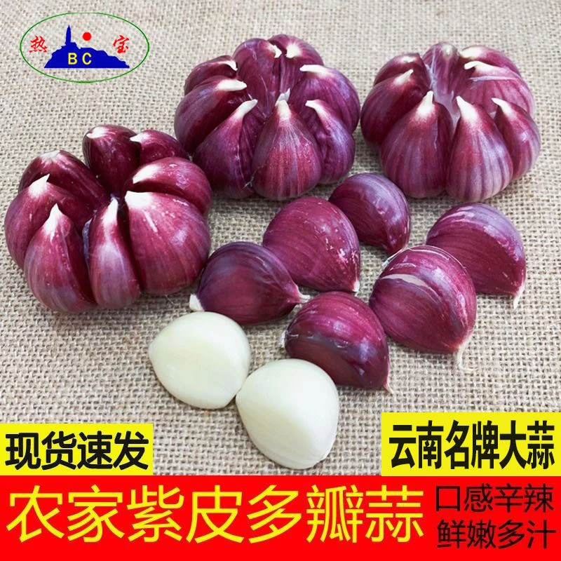 2024正宗云南大理紫皮大蒜头干蒜农家新鲜红蒜子独头蒜香蒜腌苍山