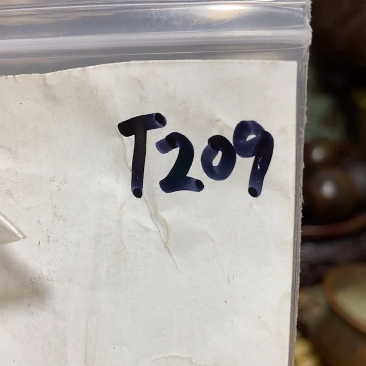 石***缘金属贰叁玖直播间家居饰品专属链接