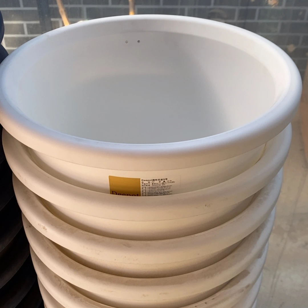 树脂10个30.1口白色爱丽丝无托