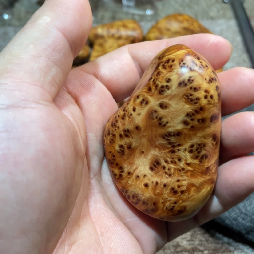 柏木（崖柏）其他把