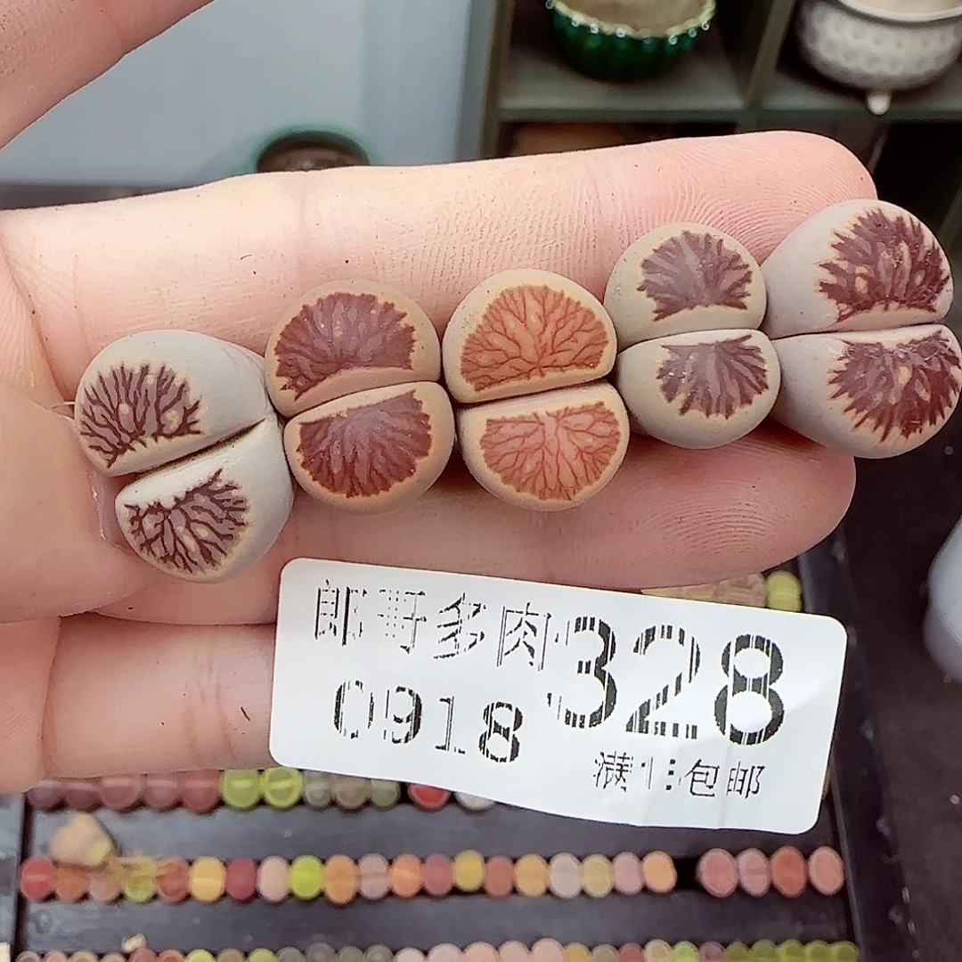 满满18包邮0918-328