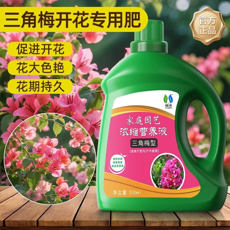 三角梅肥料专用肥营养液花卉通用养花盆栽家用液体肥绿植花肥料