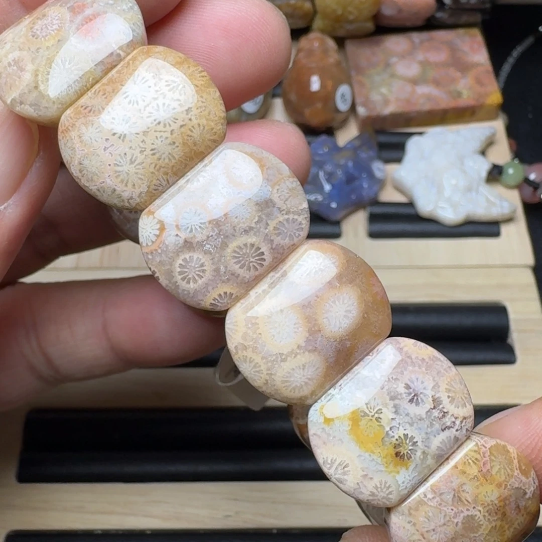 未镶嵌纯天然色有机玉石保真色硅化玉