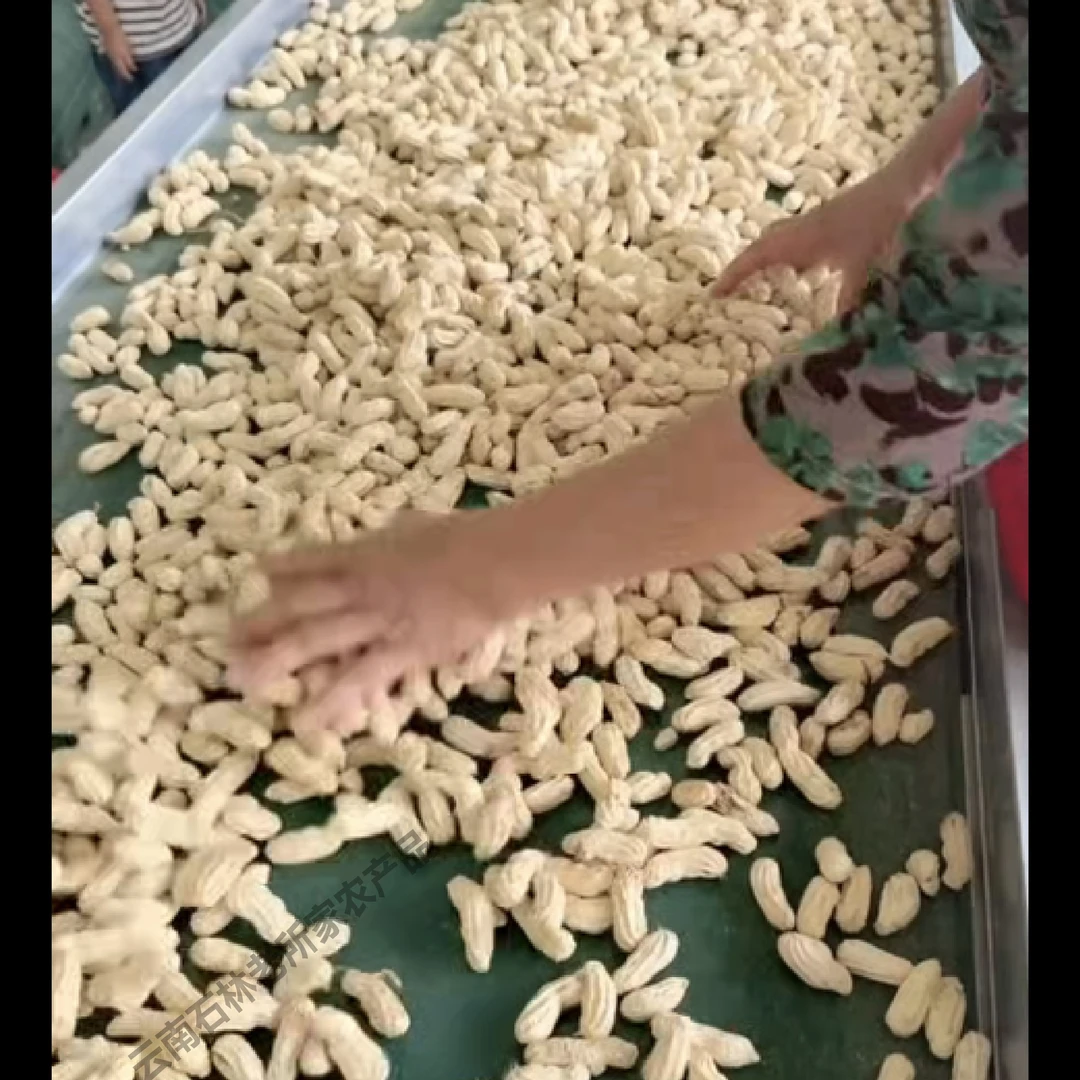 云南特产带壳富硒黑花生营养健康自然晒干可种植农家种休闲零食