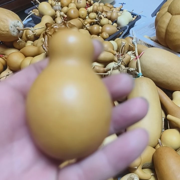 只为上小车不关联