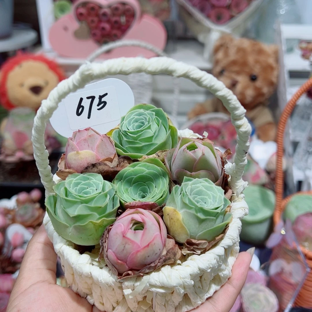 675新粉福利手提篮组合。