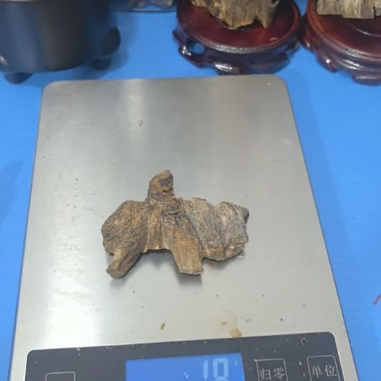 春***天沉香沉香碎屑陆河小虫漏