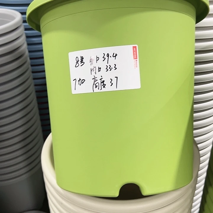 特价8号四季口39.4高37果绿无托3只