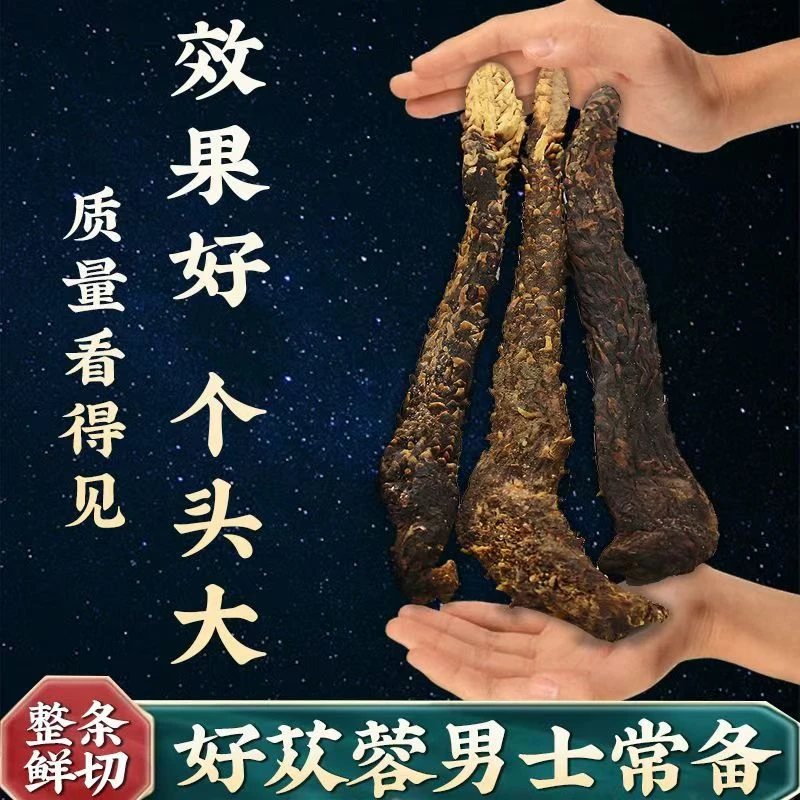 软质肉苁蓉400克至500克内蒙古阿拉善产可泡茶泡酒的沙漠人参山药