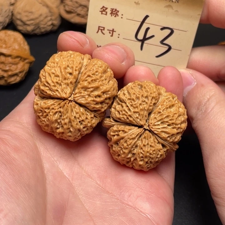 文玩核桃把件云铁三棱38尺全品以打底43
