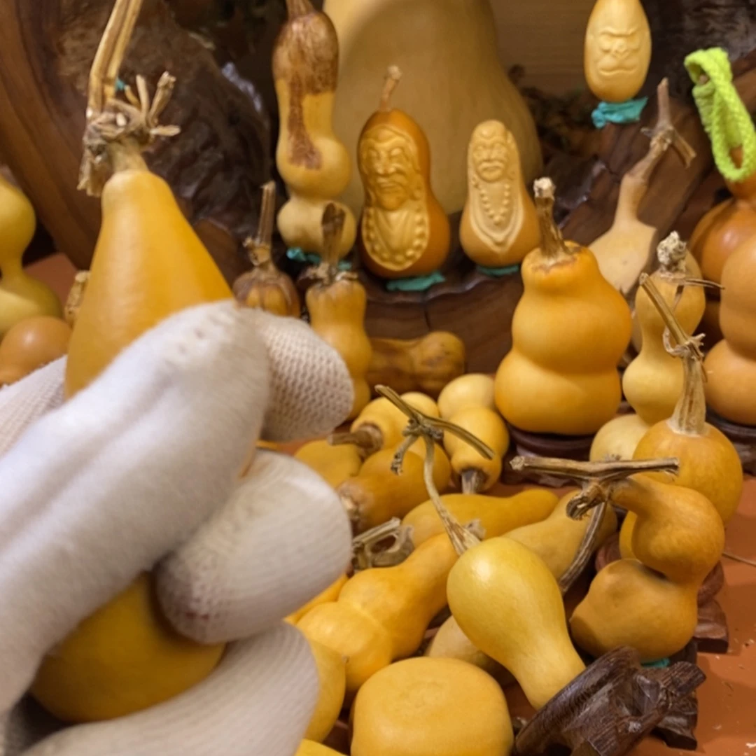 星***护教练教练咯哦哦哦哦