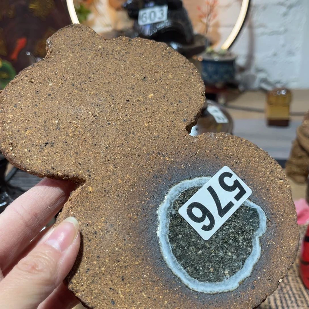 木村信弘柴烧保平