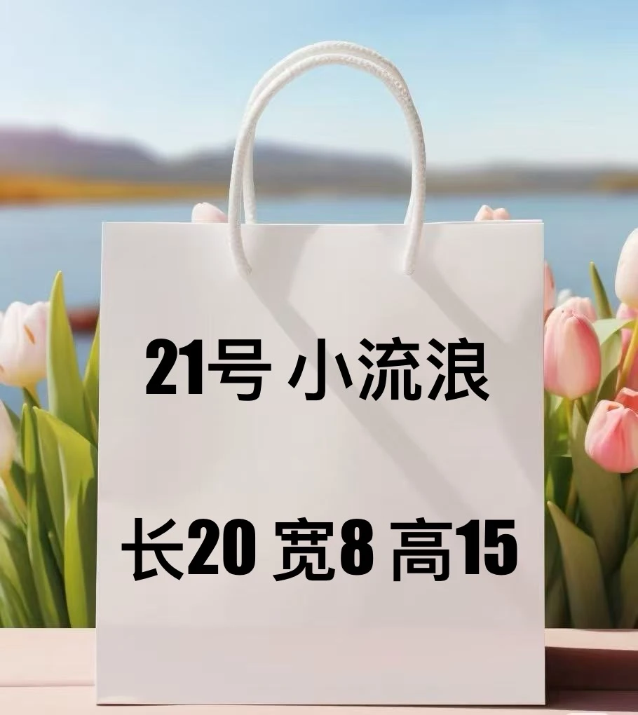【21号】2025款气质时尚百搭经典白色小号流浪包78383