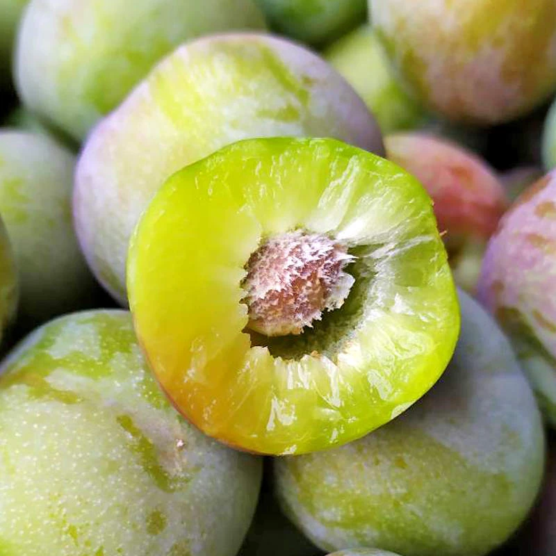 殷红李约400g/份【少重退差价】