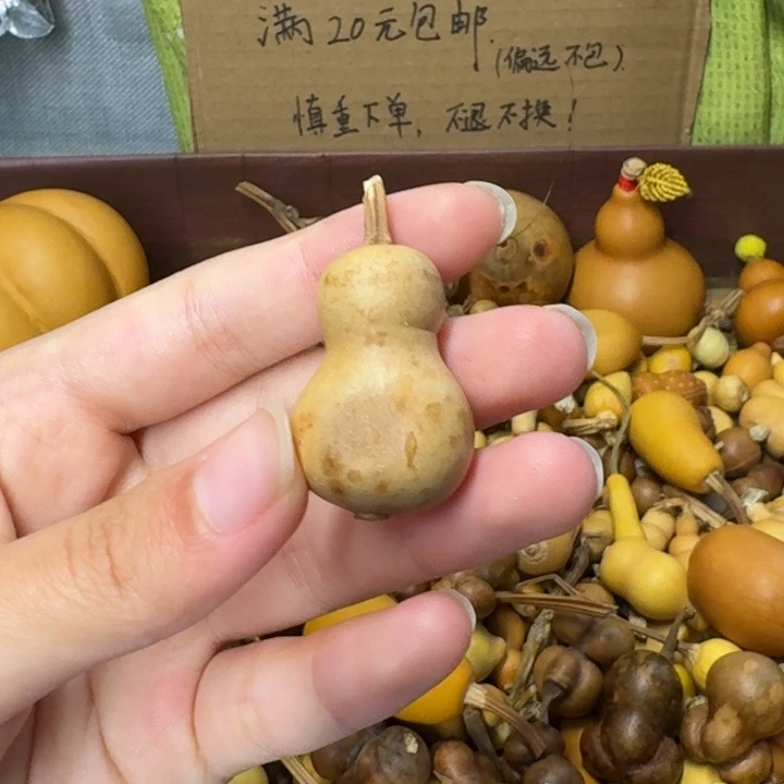 葫芦葫芦葫芦葫芦