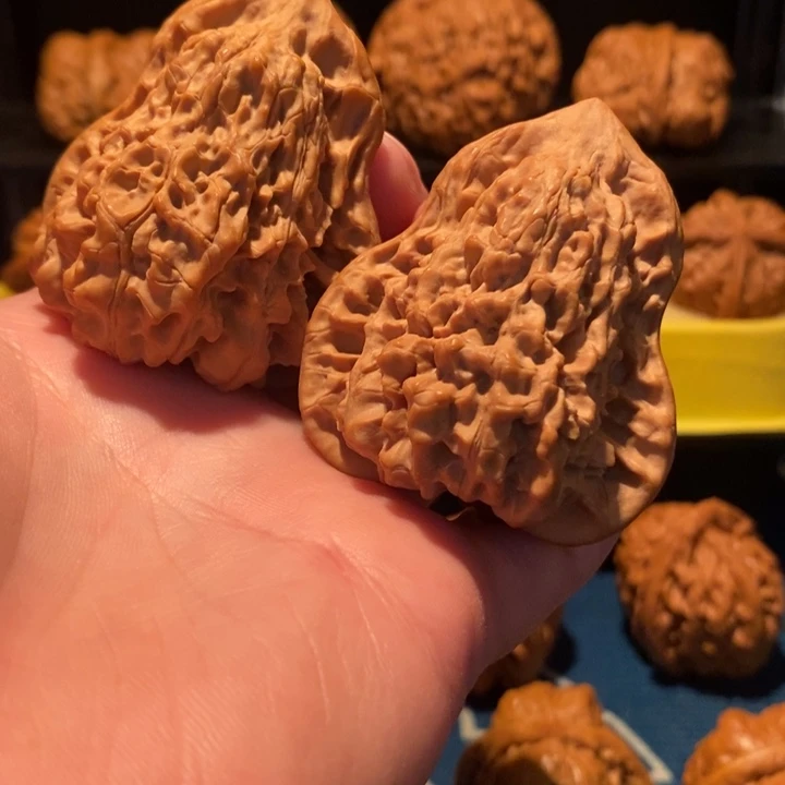 手串/手链核桃吕**秋