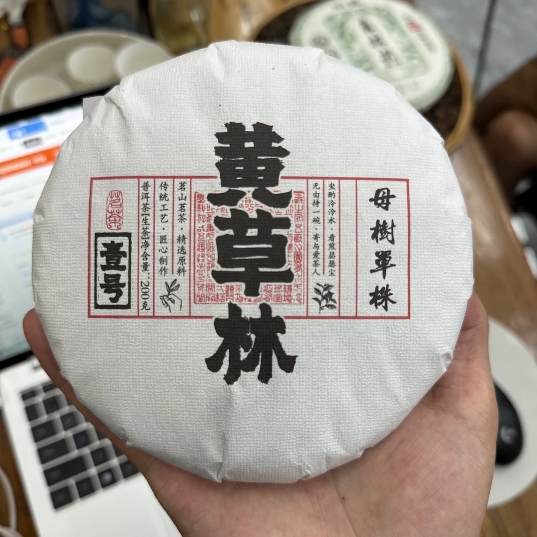 【丙哥放漏】2024年春 黄草林 母树单株200克