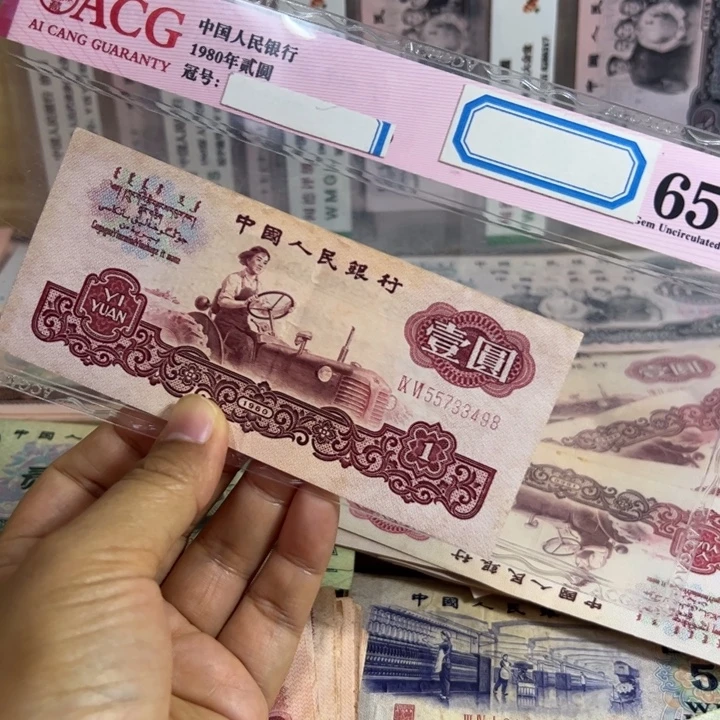 幸运树退市钱币流通品1张