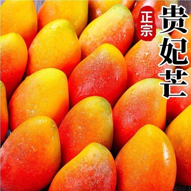 广西贵妃芒七彩红金龙新鲜现摘孕妇应季水果皮包肉厚5/9斤包邮