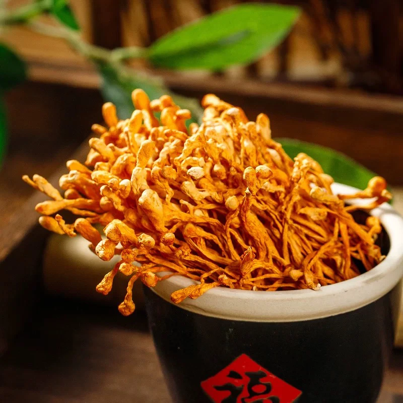云南新鲜无硫孢子头干货“虫草花”营养美味