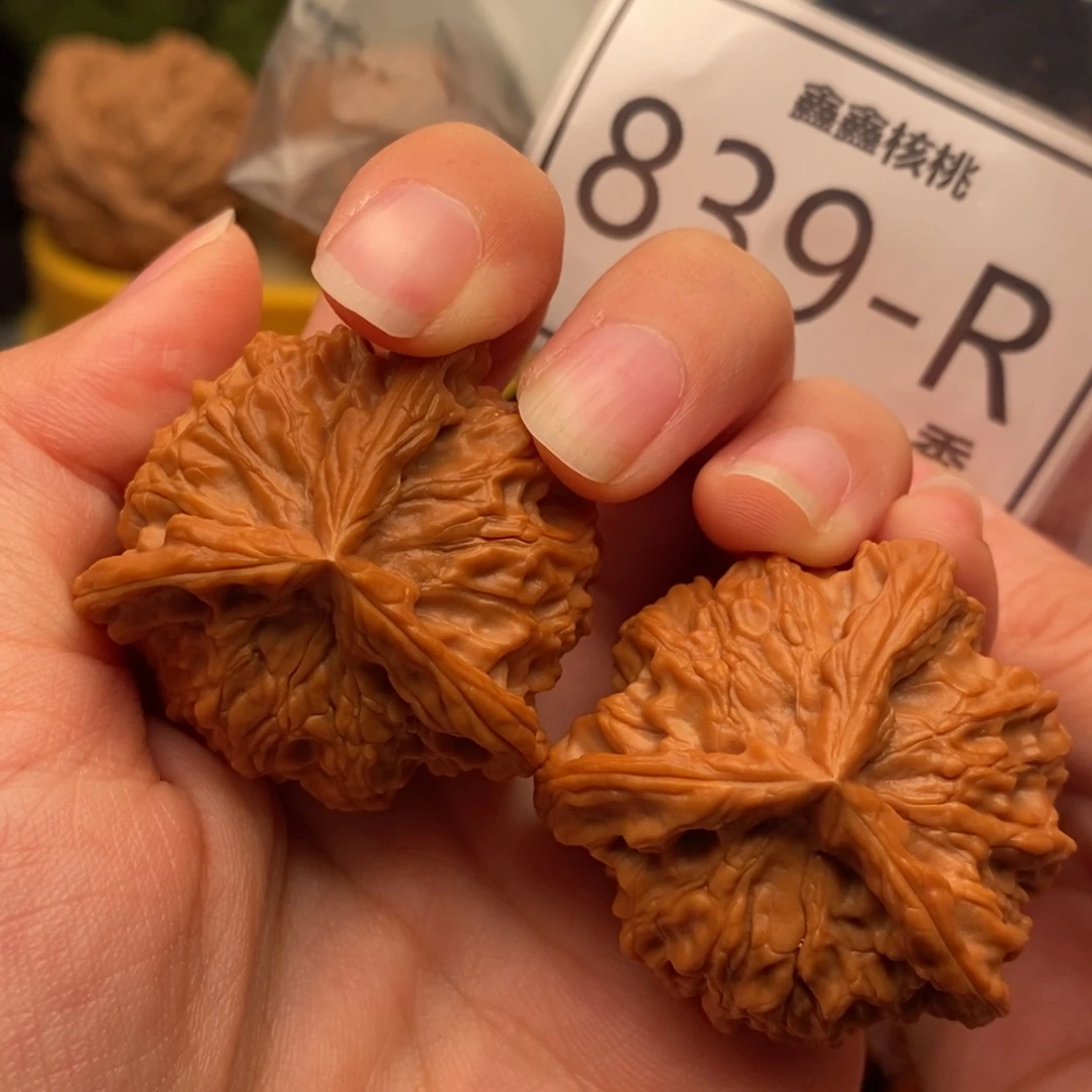 大***哥文玩核桃把件盘山奔39